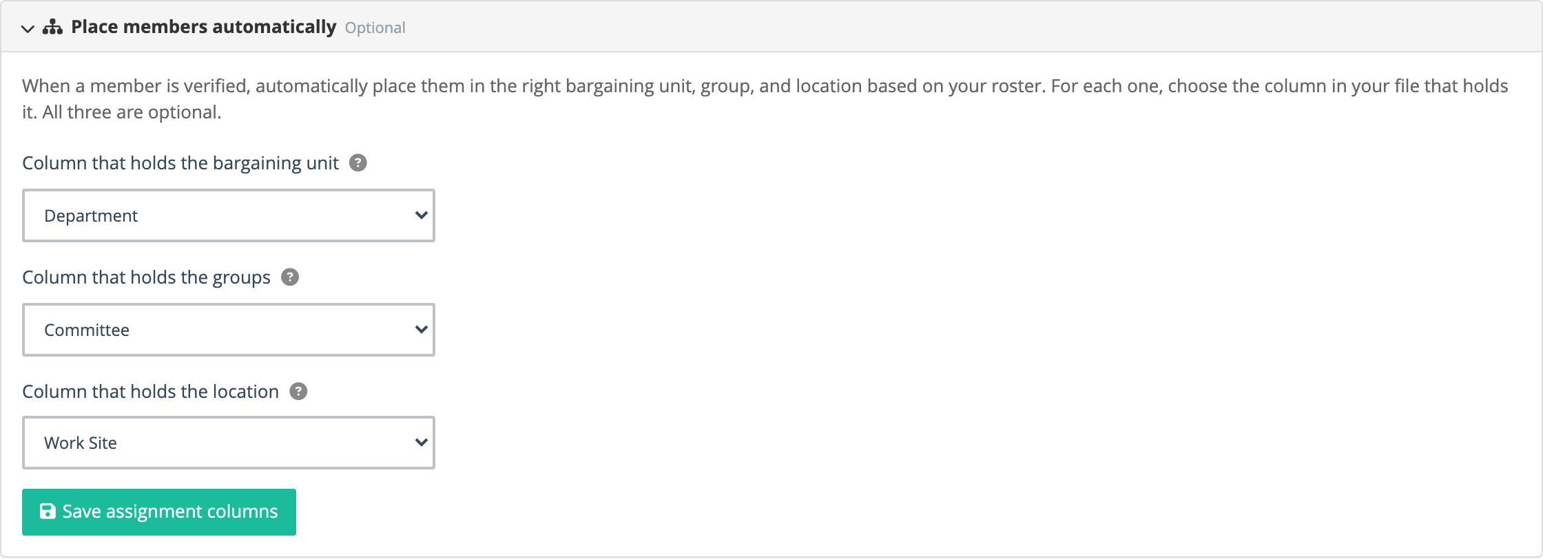 The optional auto-placement step mapping columns to unit, group, and location